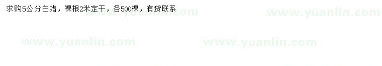 求購5公分白蠟