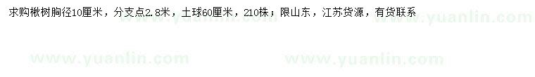 求購胸徑10公分楸樹