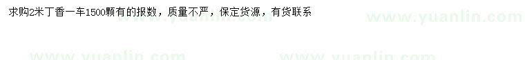 求購2米丁香