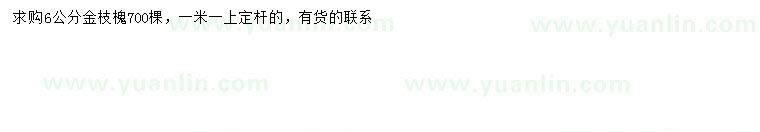 求購(gòu)6公分金枝槐