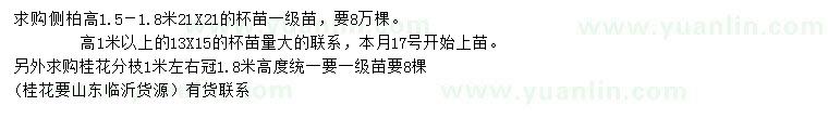 求購高1米以上側柏、冠1.8米桂花