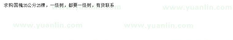 求購35公分國槐