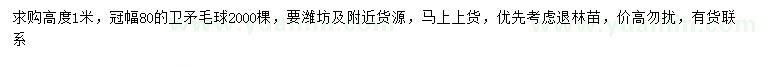 求購(gòu)冠幅80公分衛(wèi)矛球