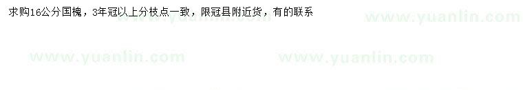 求購16公分國槐