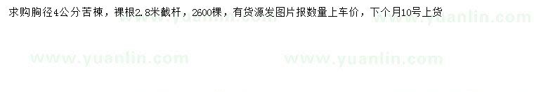 求購胸徑4公分苦楝