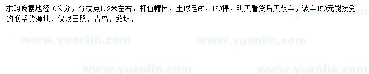 求購地徑10公分晚櫻