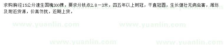 求購胸徑15公分速生國槐