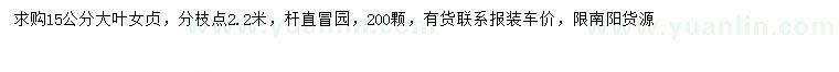 求購15公分大葉女貞