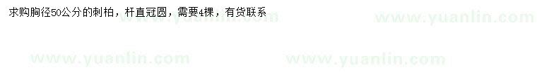 求購(gòu)胸徑50公分刺柏