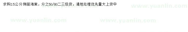 求購15公分絢麗海棠