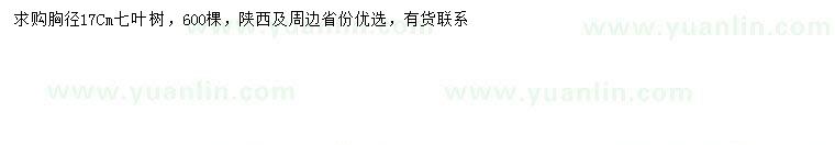 求購(gòu)胸徑17公分七葉樹(shù)