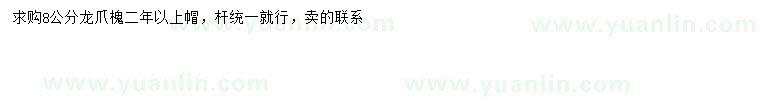 求購8公分龍爪槐