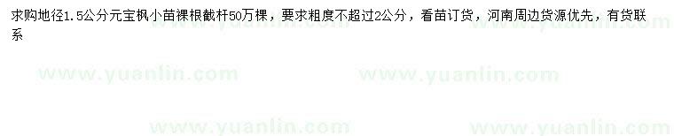 求購地徑1.5公分元寶楓小苗