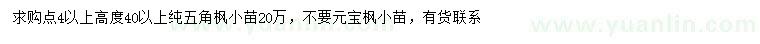 求購(gòu)高40公分以上五角楓小苗