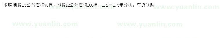 求購(gòu)地徑12、15公分石楠