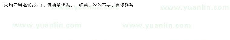 求購7公分亞當(dāng)海棠