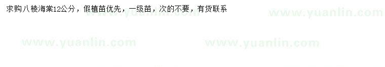 求購12公分八棱海棠