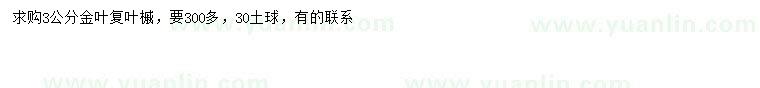 求購3公分金葉復(fù)葉槭