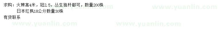 求購高4米火棘、18公分日本紅楓