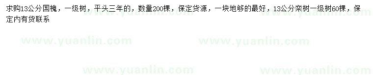 求購13公分國槐、欒樹