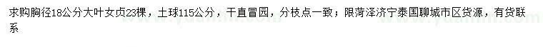 求購胸徑18公分大葉女貞