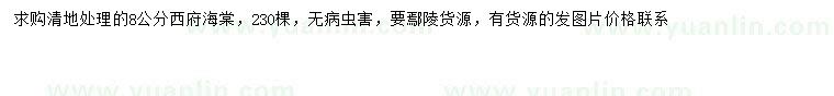 求購(gòu)8公分西府海棠