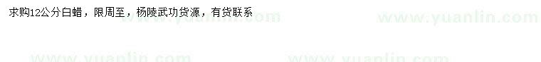 求購12公分白蠟