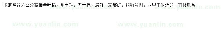 求購胸徑6公分高接金葉榆