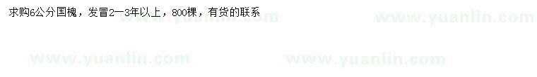 求購(gòu)6公分國(guó)槐