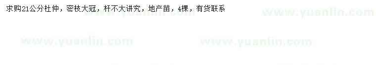 求購(gòu)21公分杜仲