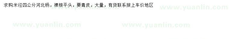 求購米徑4公分河北楊