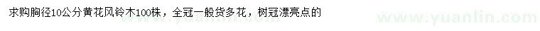求購胸徑10公分黃花風鈴木