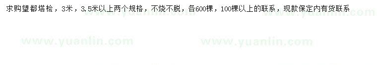 求購3、3.5米以上望都塔檜