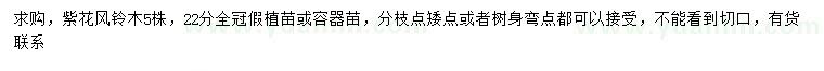 求購22公分紫花風(fēng)鈴木