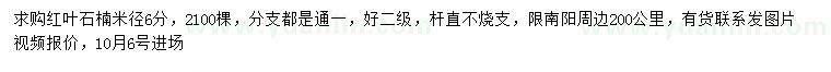 求購米徑6公分紅葉石楠
