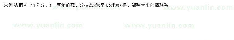 求購9-11公分法桐