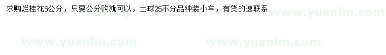 求購5公分桂花