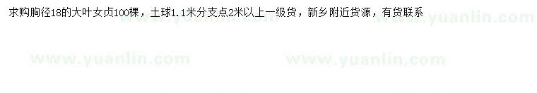 求購(gòu)胸徑18公分大葉女貞