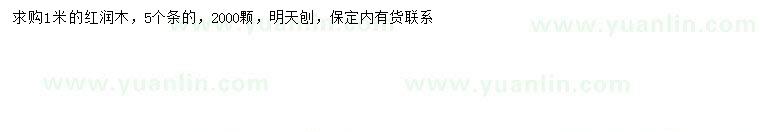 求購1米紅潤木