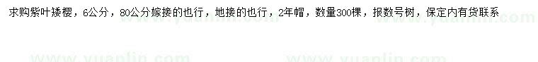 求購6公分紫葉矮櫻