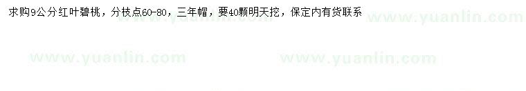求購(gòu)9公分紅葉碧桃