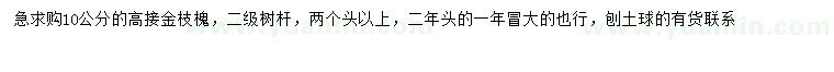 求購10公分高接金枝槐