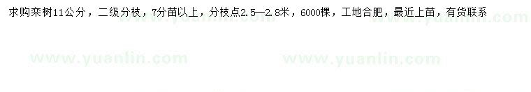 求購(gòu)11公分欒樹(shù)