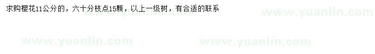 求購(gòu)11公分櫻花