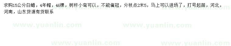 求購15公分白蠟