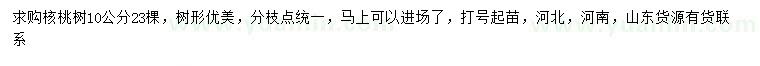 求購10公分核桃樹