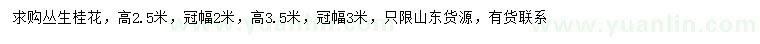 求購冠幅2、3米叢生桂花