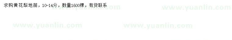 求購10-14公分黃花梨