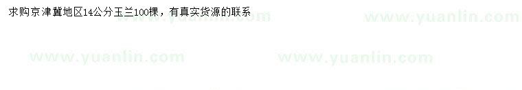 求購14公分玉蘭