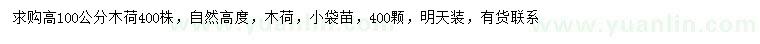 求購高100公分木荷